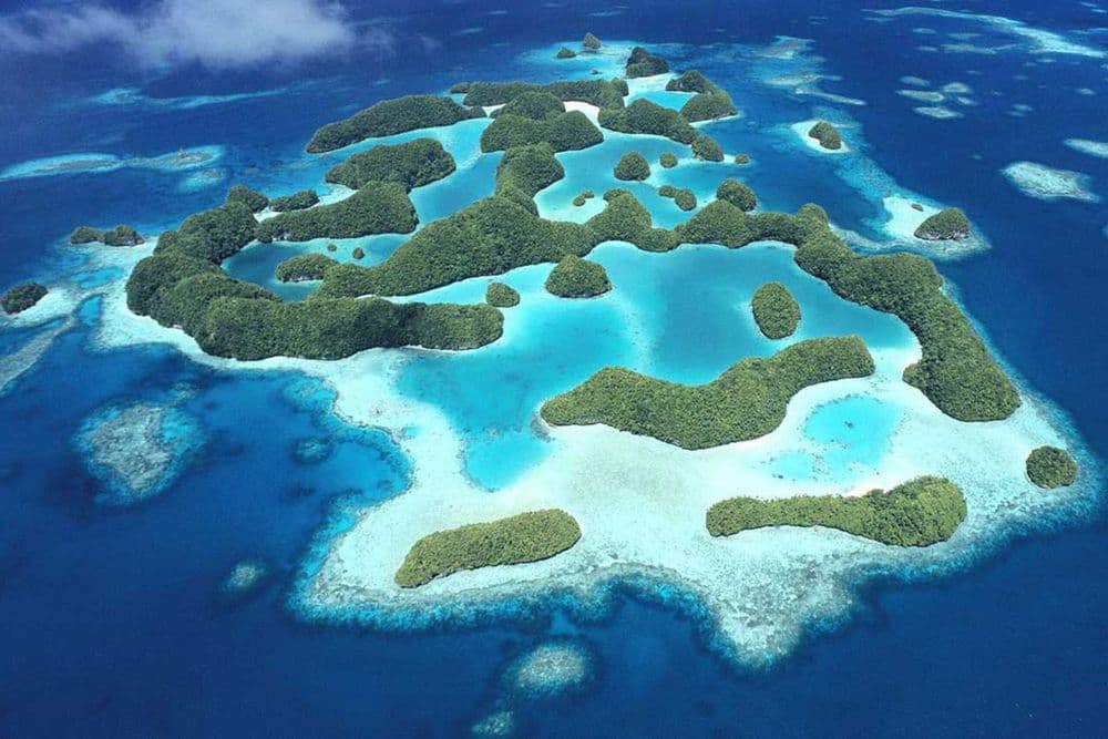 INDO PACIFICO