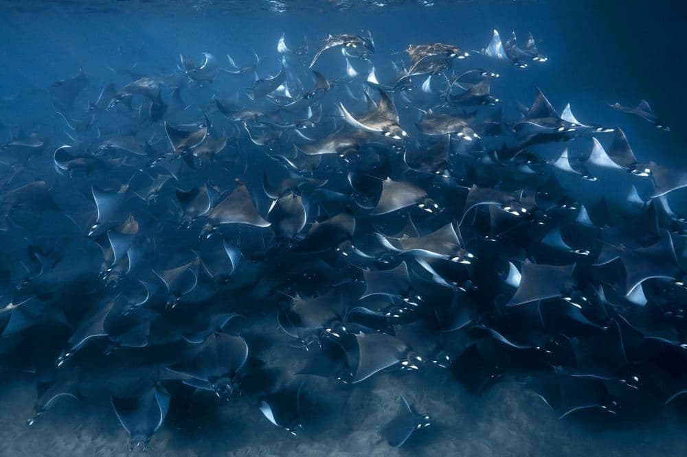 BAJA CALIFORNIA