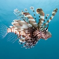 Todos los viajes de grupo