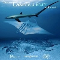 INDONESIA - Derawan y Borneo