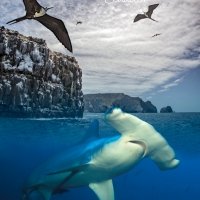 Galápagos Islas