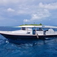 Maldivas: Crucero + Isla local